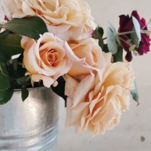 Flower Posies